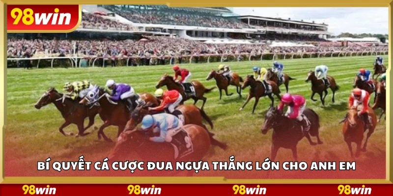 Bí quyết cá cược đua ngựa thắng lớn cho anh em